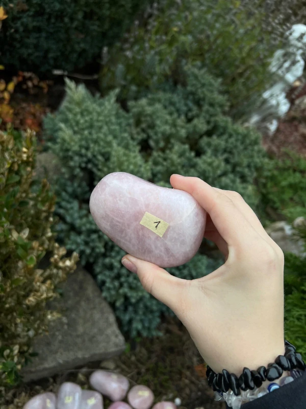 RŮŽENÍN JUMBO konktréní kus