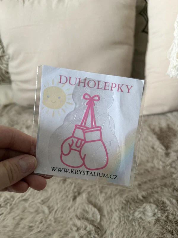Duholepka RUKAVICE BOX
