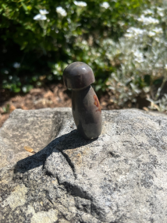 Jaspis Houba G 50g