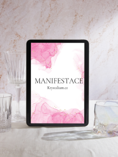 MANIFESTACE e-book