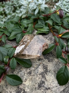 GARDEN QUARTZ konkrétní kus  